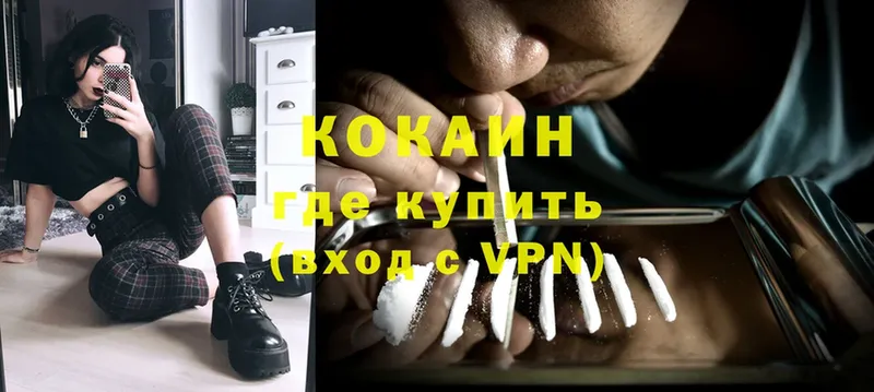 ссылка на мегу как войти  Бикин  Cocaine FishScale 