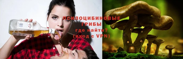 a pvp Медногорск