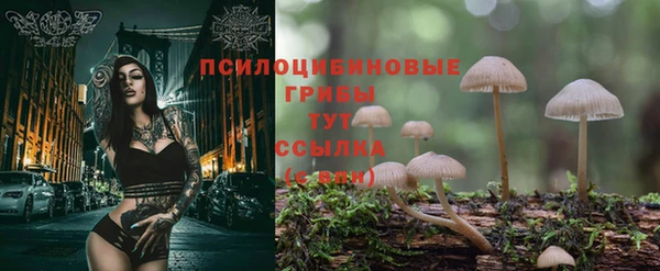 спиды Белокуриха